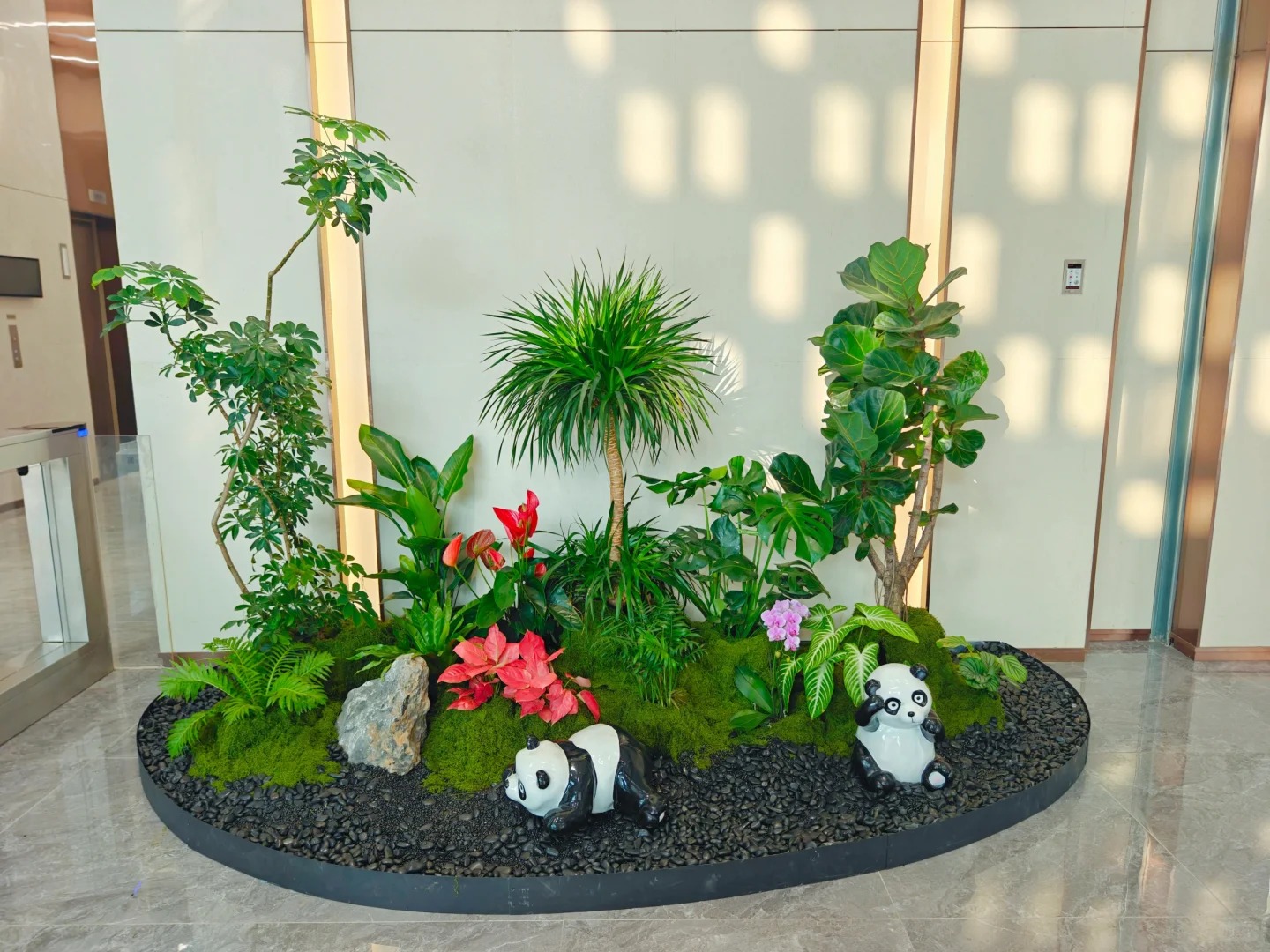 余姚植物出租,价格亲民超实惠,装点生活超划算!